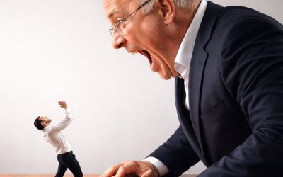 Potere e leadership disfunzionale nelle organizzazioni